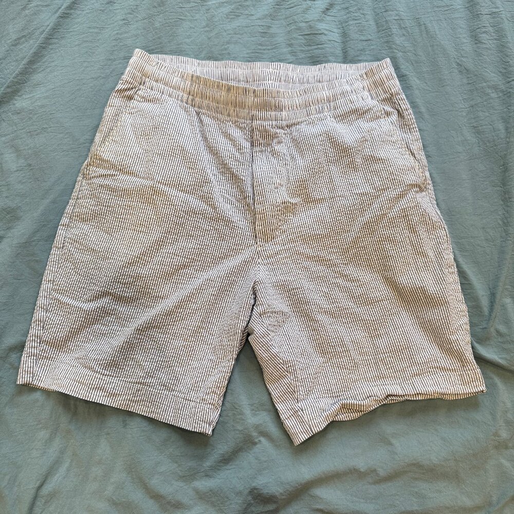 Striped White and Blue Uniqlo Shorts